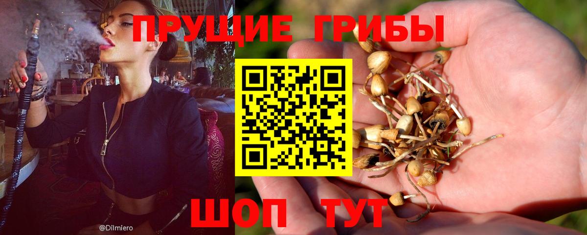 Балтийск  Галлюциногенные грибы мицелий  Вход с VPN 