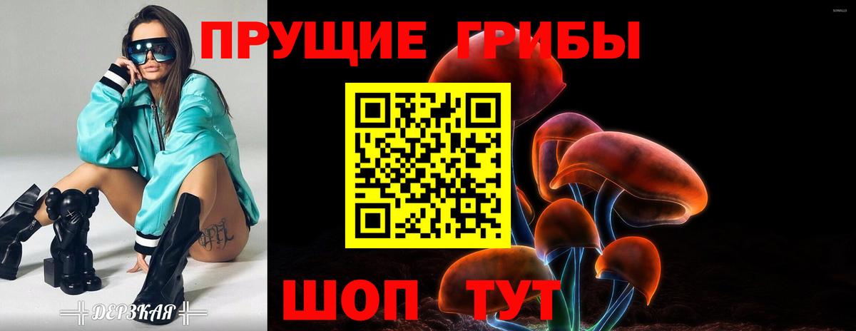 Галлюциногенные грибы MAGIC MUSHROOMS Балтийск